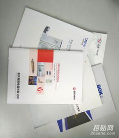 樂(lè)清樣本畫(huà)冊(cè)設(shè)計(jì)與印刷服務(wù) 宣傳冊(cè)、單張、說(shuō)明書(shū)與網(wǎng)站設(shè)計(jì)一體化解決方案