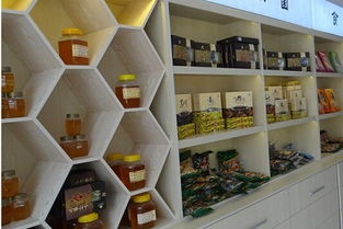 東莞特產(chǎn)展柜設(shè)計(jì)廠網(wǎng)站設(shè)計(jì) 融合地域特色與現(xiàn)代展示技術(shù)