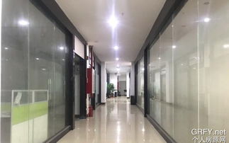 區域性企業與服務平臺的價值共振 從廣州房產到東莞光學，多元業態的共生之道